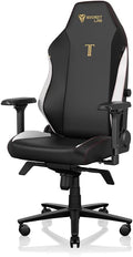 Secretlab Titan Evo Classic Gaming Chair - Reclining, Ergonomic & Heavy Duty Computer Chair with 4D Armrests, Magnetic Head Pillow & Lumbar Support - Big and Tall 395 lbs - Black - Leatherette