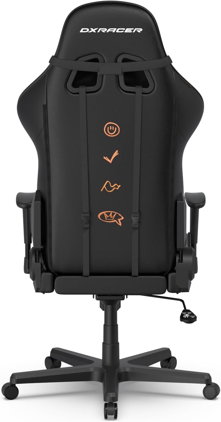 DXRacer Formula L Ergonomic Gaming Chair for Adults, Reclining Video Office Computer Chair with Lumbar Support and Headrest, Racing Style Height Adjustable (PVC Synthetic Leather, Graffiti)