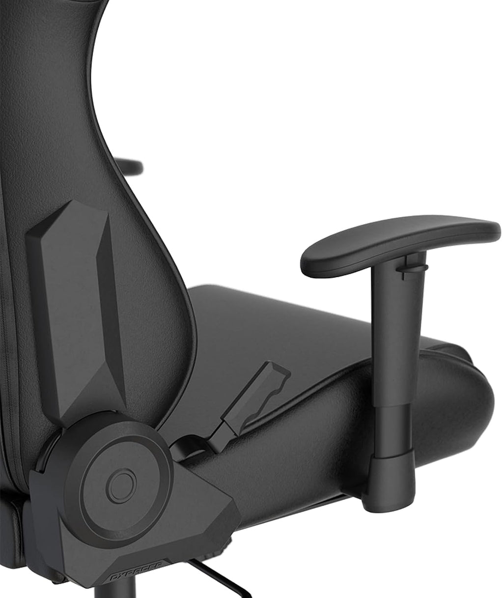 DXRacer Formula L Ergonomic Gaming Chair for Adults, Reclining Video Office Computer Chair with Lumbar Support and Headrest, Racing Style Height Adjustable (PVC Synthetic Leather, Graffiti)