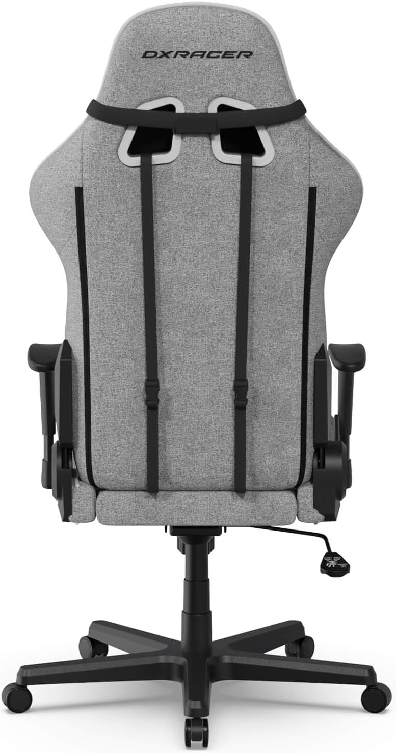 DXRacer Formula L Ergonomic Gaming Chair for Adults, Reclining Video Office Computer Gamer Chair with Lumbar Support and Headrest (Water-Resistant Fabric, Gray White)