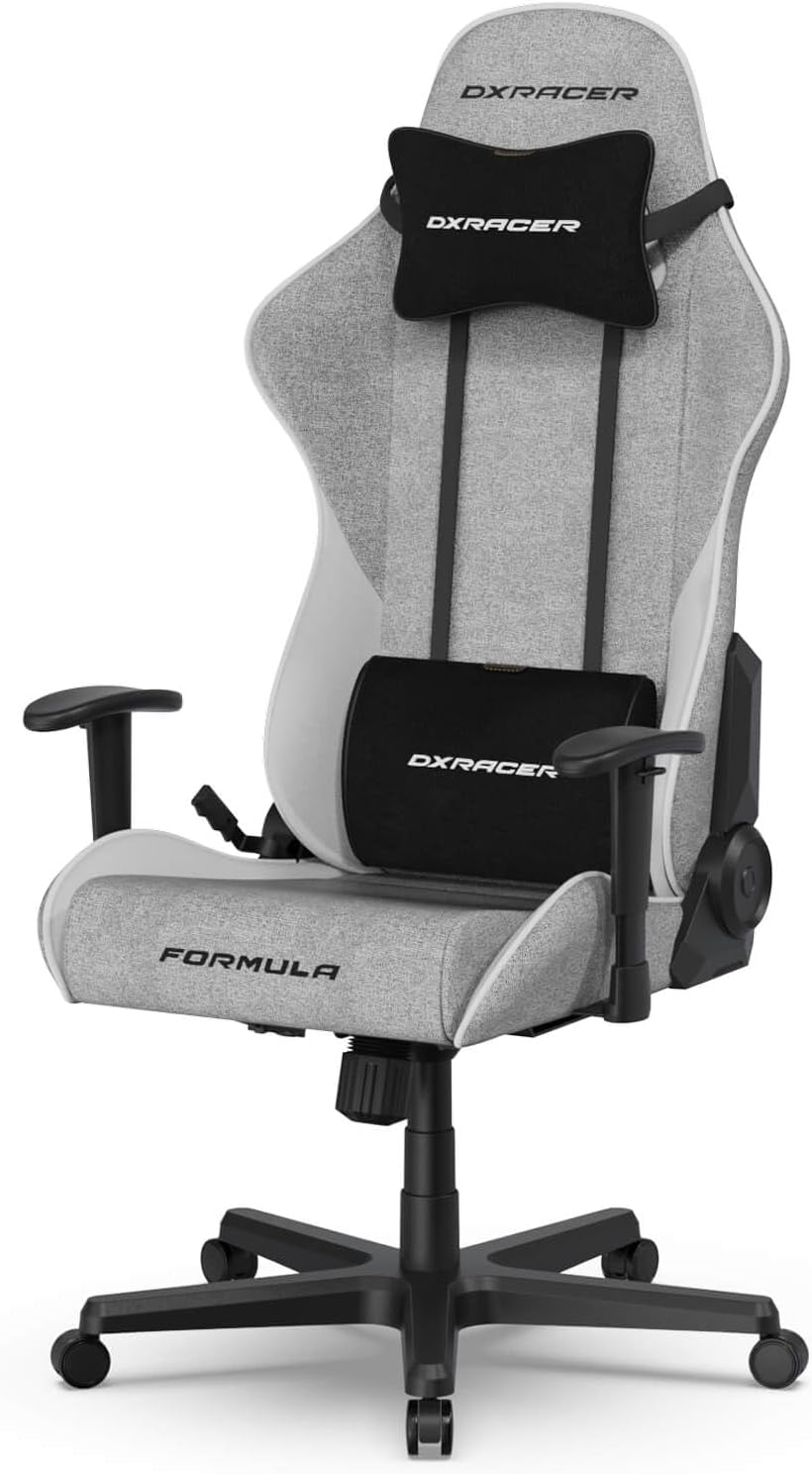 DXRacer Formula L Ergonomic Gaming Chair for Adults, Reclining Video Office Computer Gamer Chair with Lumbar Support and Headrest (Water-Resistant Fabric, Gray White)