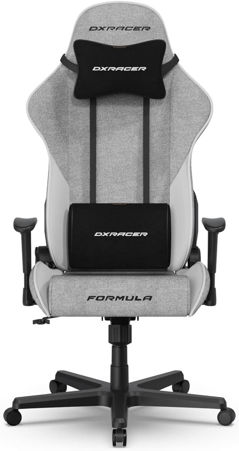 DXRacer Formula L Ergonomic Gaming Chair for Adults, Reclining Video Office Computer Gamer Chair with Lumbar Support and Headrest (Water-Resistant Fabric, Gray White)