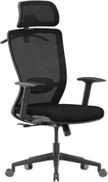 FLEXISPOT Ergonomic Office Chair, High Back Home Office Desk Chairs with Adjustable Lumbar Support, Armrests,90-130° Tilt Lock, Comfort Wide Cushion, Swivel Computer Gaming Chairs for Adults (Black)