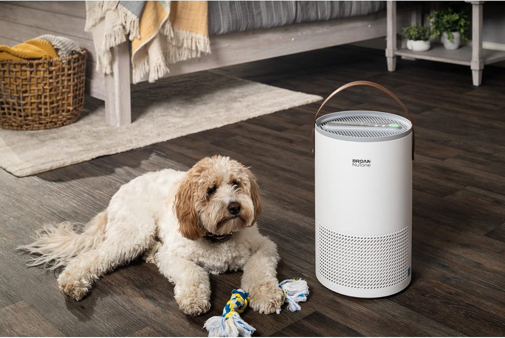 Broan-NuTone BNAP-100 Air Purifier with Verified Zero Ozone and Auto Particulate Sensing to Detect and Remove Pollutants, True HEPA