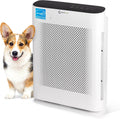 Air Purifier for Home Allergies & Pets | 4-in-1 H13 True HEPA Filter/Ionizer/Carbon + UV Light | Portable Air Purifiers for Large Room & Bedroom Odor Elimination - InvisiClean Aura II