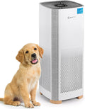 Air Purifiers for Home, Large Room Covers 1500 Ft², H13 Medical Grade True HEPA Air Filter, Ideal for Allergies, Cat, Dog, Pet, Hair, Pollen, Smoke, Dust, Bedroom Air Filter, WiFi, InvisiClean Bella