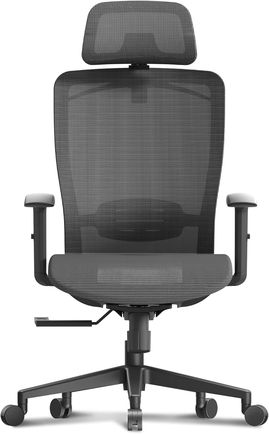 FLEXISPOT Ergonomic Office Chair, High Back Mesh Swivel Computer Chair, Executive Office Desk Chairs, with Adjustable Lumbar Support/2D Headrest/Lockable Backrest, OC3 Mesh Seat, Gray
