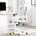Fizzin Ergonomic Office Chair, 400 LBS Desk Chair with Adjustable Lumbar Support, High Back Breathable Mesh Computer Chair Rolling Work Swivel Task Chairs, Comfy Home Office Desk Chair (Gray)