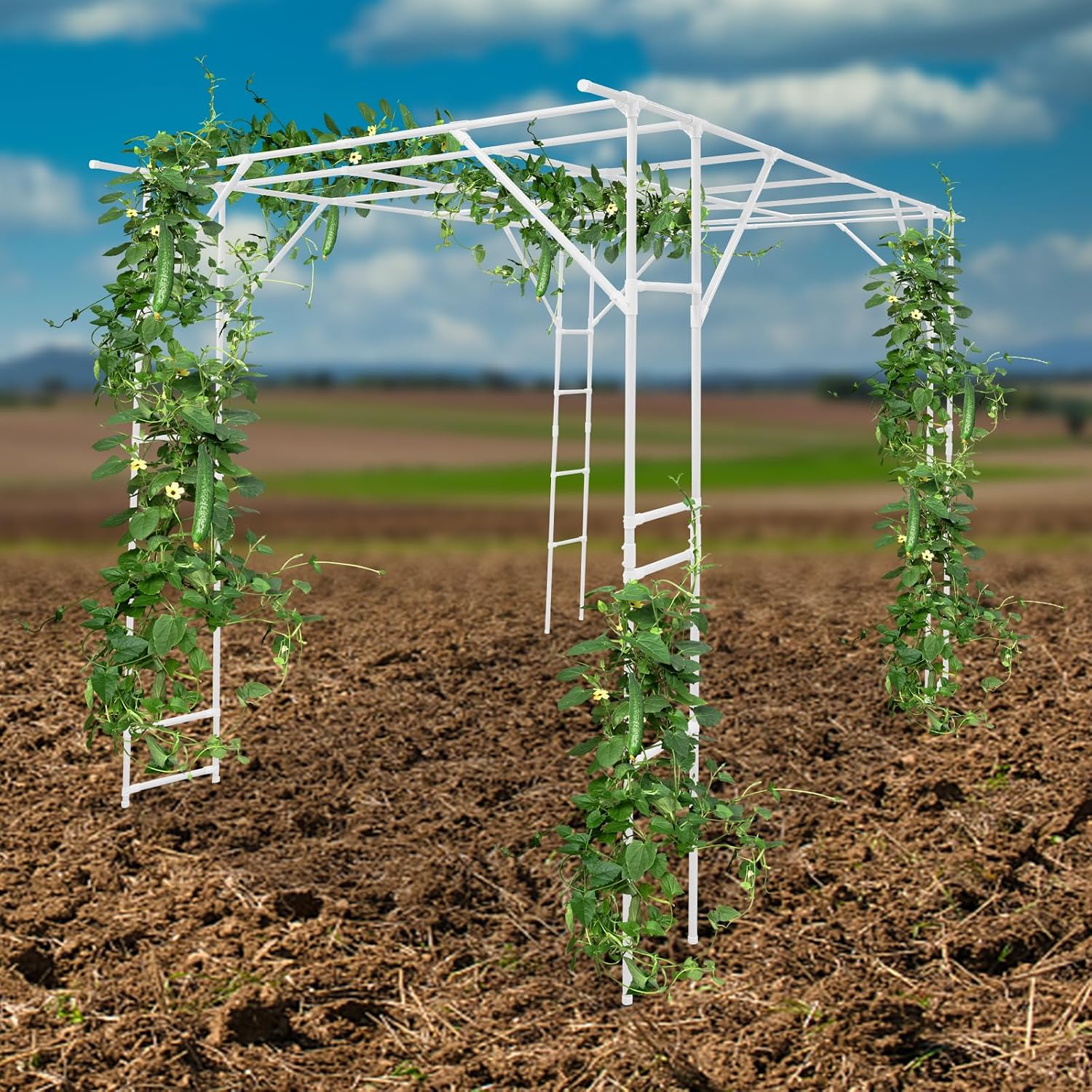 118'' L x 78.5'' W x 90.5'' H Large Outdoor Garden Arch Trellis for Climbing Plants, Grape Arbor Rack Pergola Plastic-Coated Steel Cane Frame for Courtyard and Garden Decoration of Pavilions (White)
