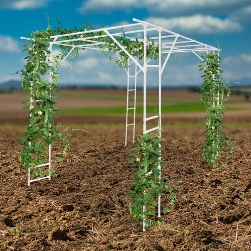 118'' L x 78.5'' W x 90.5'' H Large Outdoor Garden Arch Trellis for Climbing Plants, Grape Arbor Rack Pergola Plastic-Coated Steel Cane Frame for Courtyard and Garden Decoration of Pavilions (White)