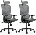 HUANUO Ergonomic Mesh Office Chair with 5-Level Lumbar Support, Computer Gaming Chair with Adjustable Headrest & Armrests, Rocking Tilt, Comfortable High Back Desk Chair for Home Office,2 Pack