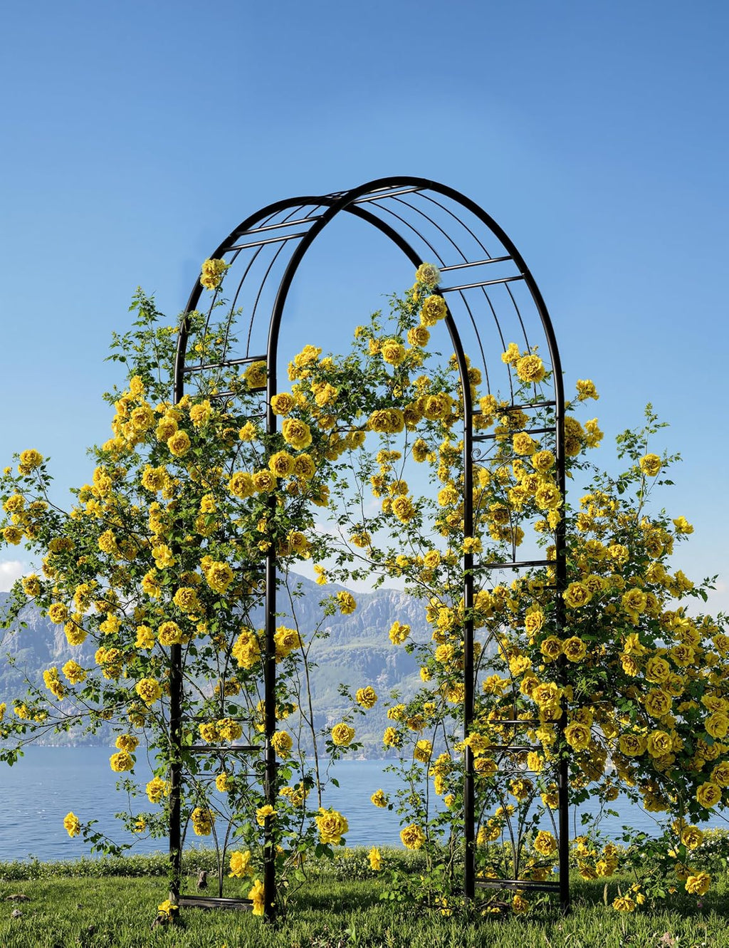 8FT Heavy-Duty Garden Arch - Rustproof Metal Trellis for Climbing Plants, Easy Assembly Wedding Arbor for Outdoor Decor, Wide Black Archway for Roses, Vines & Bridal Parties