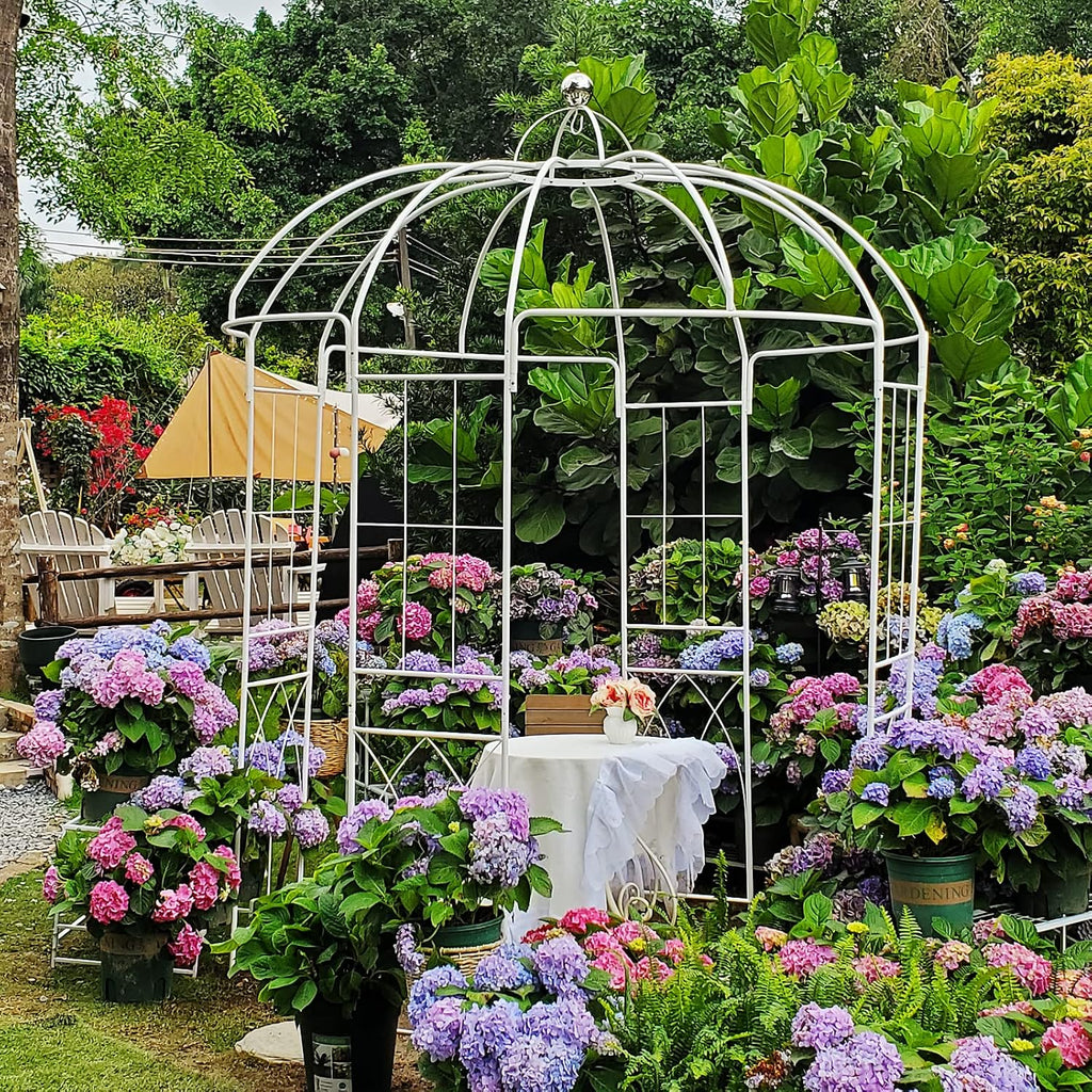 Birdcage Shape Garden Arches Arbors,9' High x 6.8' Wide,Metal Gazebo White Enduring Iron Trellis Plants Stand Use for Outdoor Garden Climbing Plants Wedding Arches Ceremony