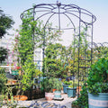 LDAILY Birdcage Shape Garden Arch, 9.3 x 6.5FT Arbor for Clematis, Rose, Heavy Duty Pergola Pavilion, Outdoor Metal Frame Arch Trellis for Ceremony, Party, Wedding Decoration