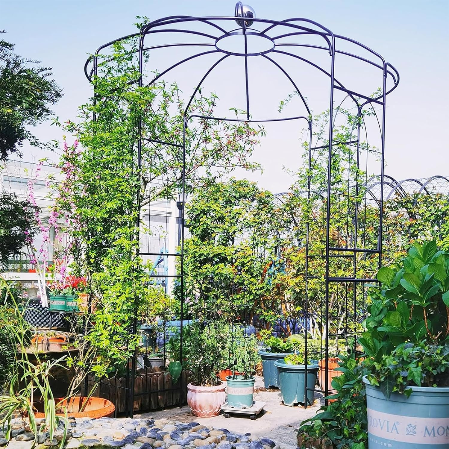 LDAILY Birdcage Shape Garden Arch, 9.3 x 6.5FT Arbor for Clematis, Rose, Heavy Duty Pergola Pavilion, Outdoor Metal Frame Arch Trellis for Ceremony, Party, Wedding Decoration